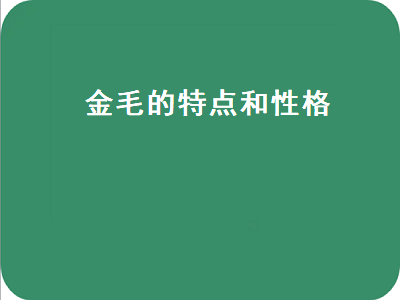 金毛的特点和性格（金毛的特点和性格特点）