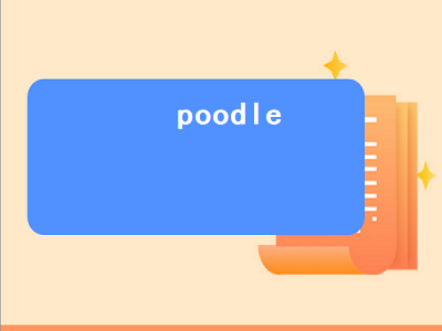 poodle（poodle dog是什么狗）