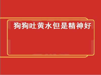 狗狗吐黄水但是精神好（狗狗吐黄水但是精神好不拉稀）