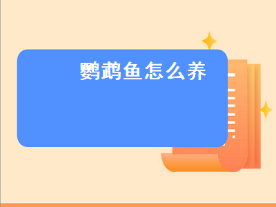 鹦鹉鱼怎么养（鹦鹉鱼怎么养最红）