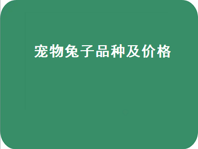 宠物兔子品种及价格（长不大的宠物兔子品种及价格）