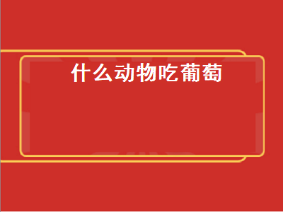 什么动物吃葡萄（什么动物吃葡萄干）