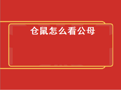 仓鼠怎么看公母（仓鼠怎么分公母图解）