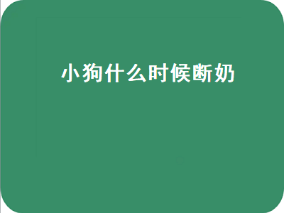 小狗什么时候断奶（小狗什么时候断奶吃狗粮）