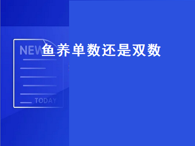 鱼养单数还是双数（鱼养单数还是双数好）