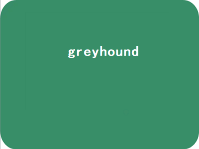 greyhound（greyhound bus）