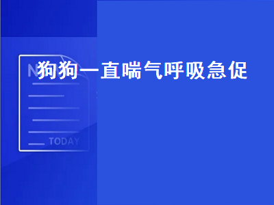 狗狗一直喘气呼吸急促（狗狗一直喘气呼吸急促吐舌头）