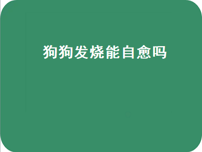 狗狗发烧能自愈吗（狗狗发烧能自愈吗狗狗犬可以洗澡吗）