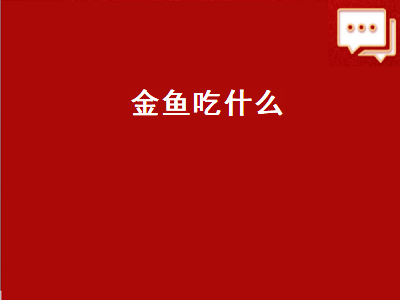 金鱼吃什么（金鱼吃什么食物）