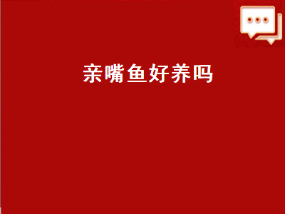 亲嘴鱼好养吗（亲嘴鱼好养吗怎么养）