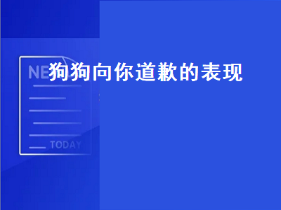 狗狗向你道歉的表现（泰迪狗狗向你道歉的表现）