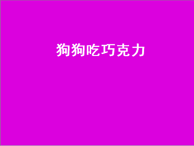 狗狗吃巧克力（狗狗吃巧克力会怎么样）