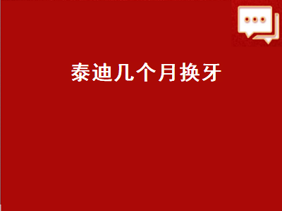 泰迪几个月换牙（泰迪几个月换牙齿）