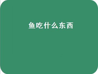 鱼吃什么东西（鱼吃什么东西才能养活）