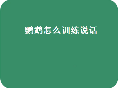 鹦鹉怎么训练说话（玄凤鹦鹉怎么训练说话）