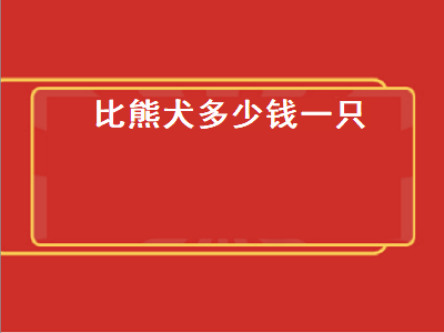 比熊犬多少钱一只（比熊犬多少钱一只幼崽）