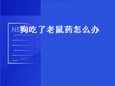 狗吃了老鼠药怎么办（狗吃了老鼠药怎么办有什么症状）