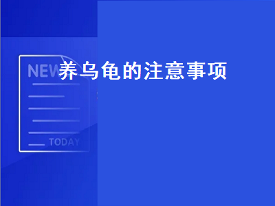 养乌龟的注意事项（冬季养乌龟的注意事项）