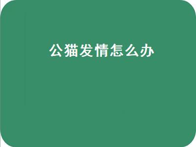 公猫发情怎么办（公猫发青一直叫怎么缓解）