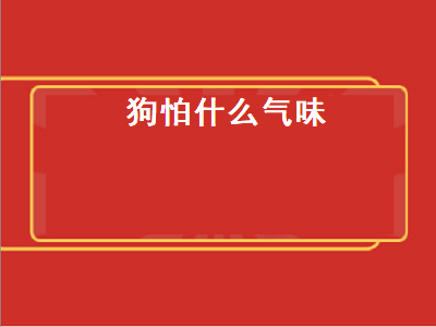 狗怕什么气味（狗最怕的气味是什么）