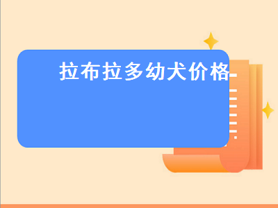 拉布拉多幼犬价格（拉布拉多幼犬价格多少钱一只）