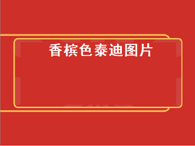 香槟色泰迪图片（小体香槟色泰迪图片）