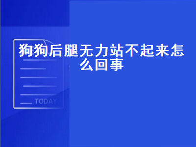 狗狗后腿无力站不起来怎么回事（老年狗狗后腿无力站不起来怎么回事）