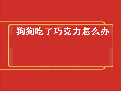 狗狗吃了巧克力怎么办（狗狗吃了巧克力怎么办催吐）