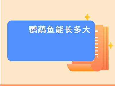 鹦鹉鱼能长多大（鹦鹉鱼能长多大活几年）