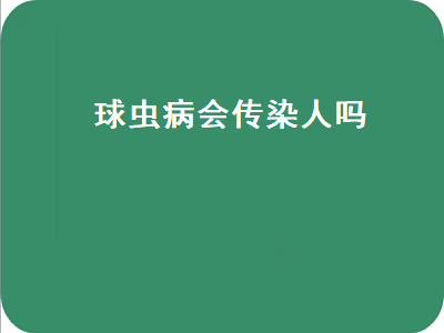 球虫病会传染人吗（猫咪球虫病会传染人吗）