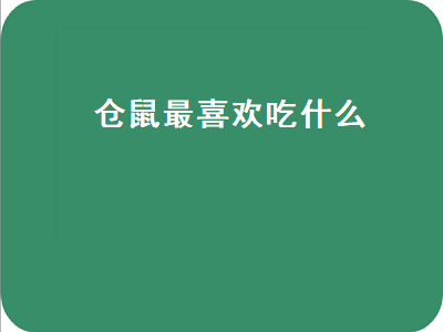 仓鼠最喜欢吃什么（仓鼠最喜欢吃什么食物）