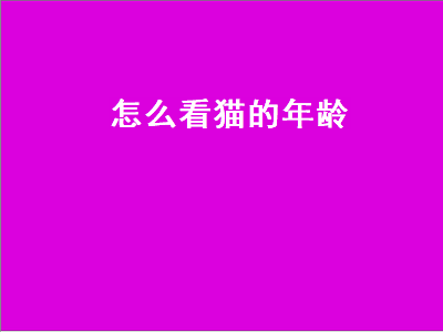 怎么看猫的年龄（怎么看猫的年龄有多大）