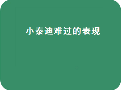 小泰迪难过的表现（小泰迪难过的表现狗狗离世）