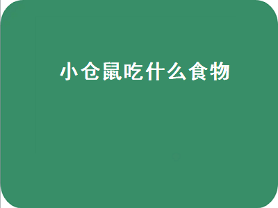 小仓鼠吃什么食物（小仓鼠吃什么食物会死）