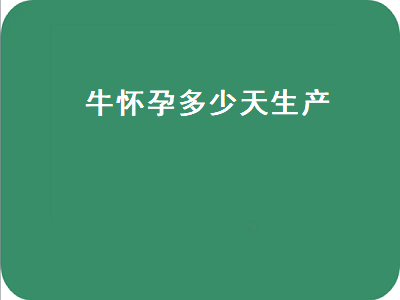 牛怀孕多少天生产（母黄牛怀孕多少天生产）