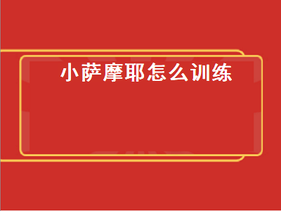 小萨摩耶怎么训练（小萨摩耶怎么训练大小便）