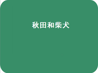 秋田和柴犬（秋田和柴犬是不是一个品种）