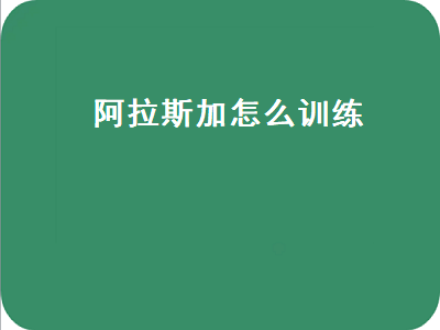 阿拉斯加怎么训练（阿拉斯加怎么训练定点大小便）