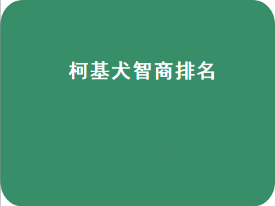 柯基犬智商排名（柯基犬智商排名第几）