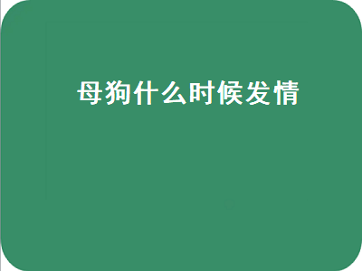 母狗什么时候发情（母狗什么时候发情）