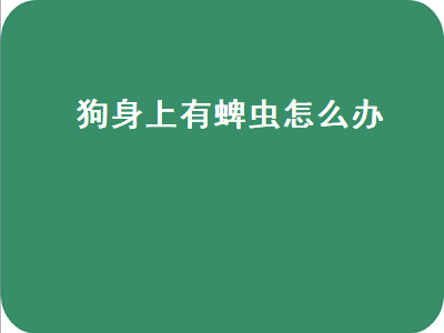 狗身上有蜱虫怎么办（狗身上有蜱虫怎么办 去除）