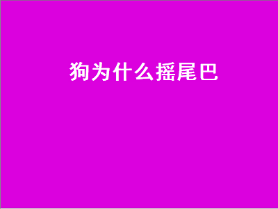 狗为什么摇尾巴（狗为什么摇尾巴,不累吗）