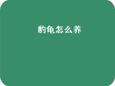 豹龟怎么养（豹龟怎么养才不违法）