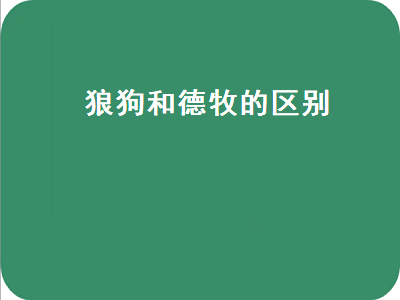 狼狗和德牧的区别（狼狗和德牧的区别图片对比）