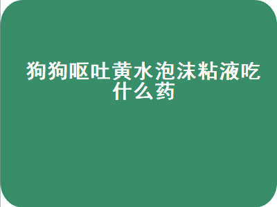 狗狗呕吐黄水泡沫粘液吃什么药（狗狗呕吐黄水泡沫粘液是什么原因）