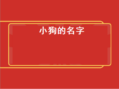 小狗的名字（小狗的名字洋气霸气的）