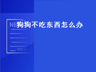 狗狗不吃东西怎么办（狗狗不吃东西怎么办没精神）