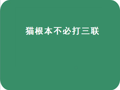 猫根本不必打三联（猫根本不必打三联多少钱）