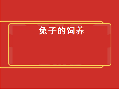 兔子的饲养（兔子的饲养方法及注意事项）