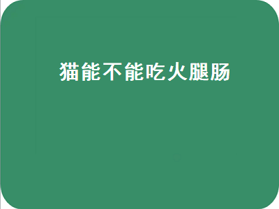 猫能不能吃火腿肠（流浪猫能不能吃火腿肠）